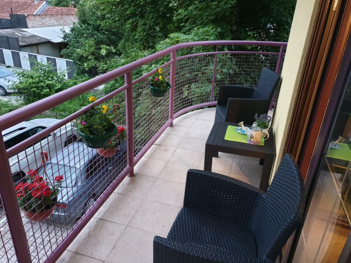 Lux Apartman Čačak 外观 照片