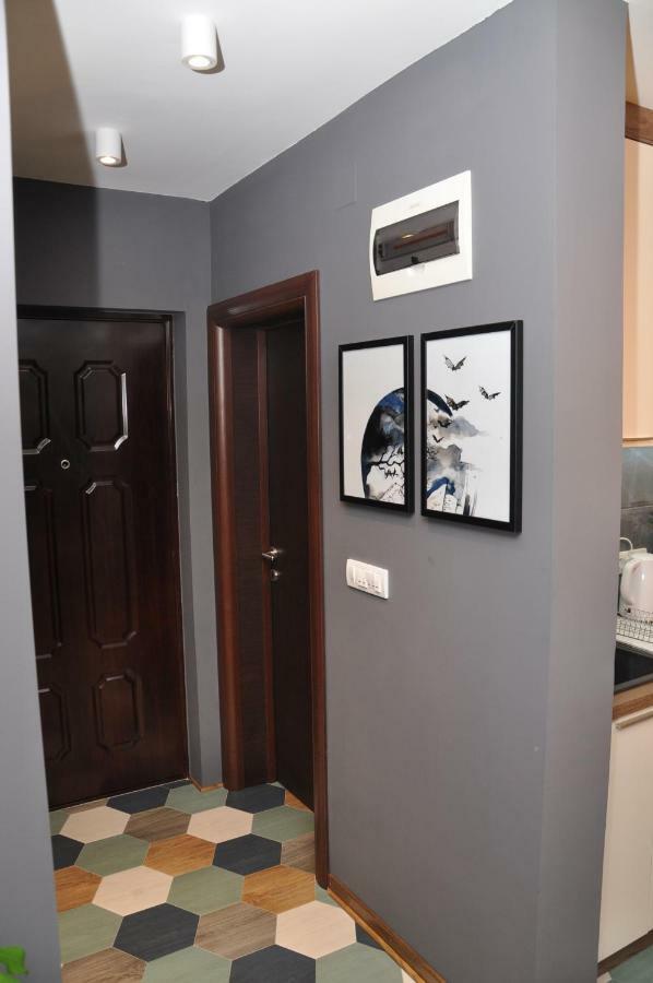 Lux Apartman Čačak 外观 照片